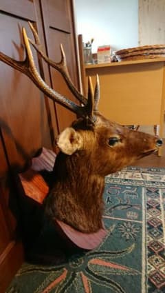 鹿のオブジェ(壁飾り)のサムネイル