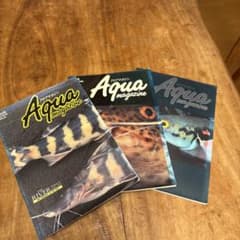 Aqua magazine 3冊セットのサムネイル