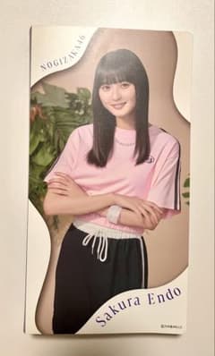 【生写真37枚入】 乃木坂46 遠藤さくら 個別フォトアルバム 収納グッズ特集のサムネイル