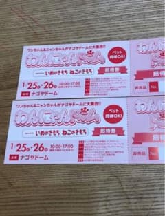 わんにゃんドーム2020のサムネイル