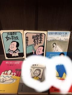 佐藤愛子　集英社文庫　2冊セットのサムネイル