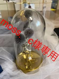 moss．c様専用　IKEA ガラスドームべゴーヴニング　ウェルカムスペースのサムネイル