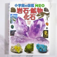 小学館の図鑑 NEO 岩石・鉱物・化石のサムネイル