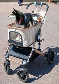 シルバーウイークセール中！ペットカート 犬用 千鳥格子柄ベージュ系のサムネイル