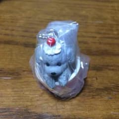 いぬぱんスペシャルカラーバージョン トイカップードルのサムネイル