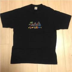 【☆みどりさん専用☆】メンズTシャツ 100%エジプトコットン♡のサムネイル