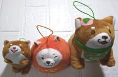 おかもち 出前 25cm 30cm 美品 メルカリ市のみ 新品.未使用！】忠犬もちしばぬいぐるみ3個セット(おかか.うめ) - メルカリ