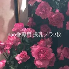 授乳ブラ2枚のサムネイル
