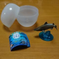 海洋堂 大洗限定 シロワニ 日本の水族館のサムネイル