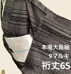 新品正絹本場大島紬　訪問着　9マルキ　⑩( 訪問着、黒留袖、袋帯なども出品) 正絹本場大島紬 9マルキ 横段幾何学文 ⑩( 訪問着、黒留袖、袋帯なども