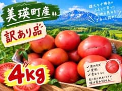 4kg 北海道美瑛町産 トマト 訳あり品 農家直送 送料無料！のサムネイル
