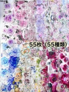 50枚セット 海外PETマステ切り売りセット お花 50-ア-L 55枚セット 海外PETマステ切り売りセット お花 55-L-イ - メルカリ