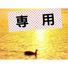 カステラ様専用のサムネイル