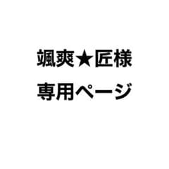 颯爽★匠様 専用ページのサムネイル