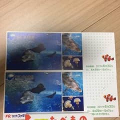 新江ノ島水族館のサムネイル