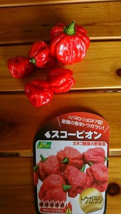 激辛 スコーピオンのサムネイル