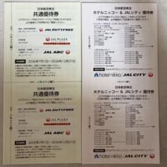 日本航空 株主優待券 共通優待券 ホテル割引券のサムネイル