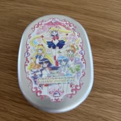 Pretty Guardian Sailor Moon Aluminum Lunch Box