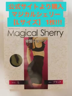 【最安値・送料込】マジカルシェリー 骨盤ショーツ Lサイズのサムネイル