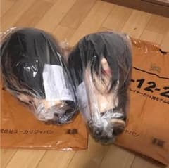 美容師国家試験用カットウイッグ二個セットのサムネイル