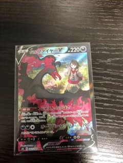 ガラルファイヤー V CSRのサムネイル