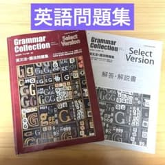 【大学入試】grammar collection 英文法・語法問題集のサムネイル