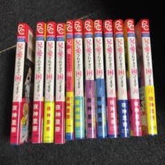 兄に愛されすぎて困ってます 1~11のサムネイル