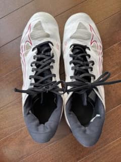 MIZUNO ハンドボール　インシューズ 27.5センチのサムネイル