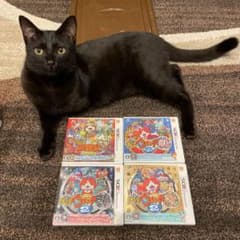 3DSソフト　妖怪ウォッチ元祖本家真打、三国志のサムネイル