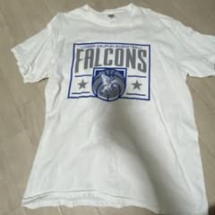 GILDAN LOWER DAUPHIN FALCONS Tシャツ Lサイズのサムネイル