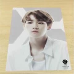 EXO Baekhyun EXO'rDIUM ミーグリのサムネイル