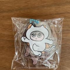 未開封】氷の城壁 全巻購入特典 アクリルキーホルダー 阿賀沢紅茶