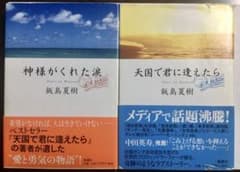 天国で君に逢えたら 神様がくれた涙 2冊セットのサムネイル