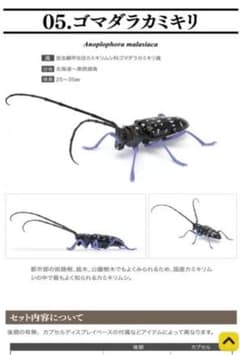 いきもの大図鑑　くわがた04 ゴマダラカミキリのサムネイル