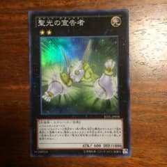遊戯王 聖光の宣告者のサムネイル