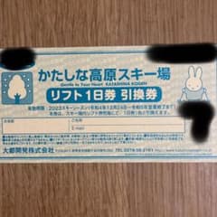 かたしな高原スキー場　リフト1日引換券　駐車場無料チケット他のサムネイル
