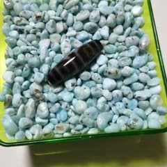 虎牙蓮花天珠のサムネイル