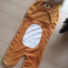 ちーままさん 専用˙ᵕ˙⑅*.のサムネイル
