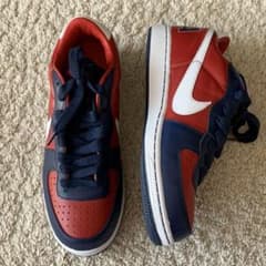 NIKE ZOOMターミネーターLOW 限定カラーレア27.5cmのサムネイル