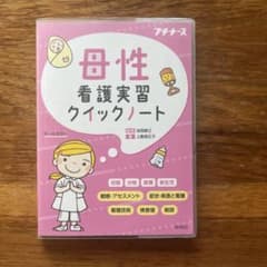 母性看護実習クイックノートのサムネイル