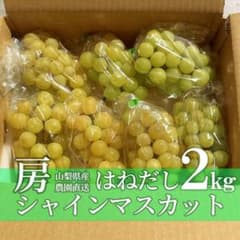 L66 はねだし 格外 山梨県産 シャインマスカット 房2kgのサムネイル