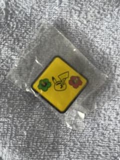 ポケモン ご当地ピンズコレクション 沖縄　ハイビスカス ピカチュウ ピンバッジのサムネイル