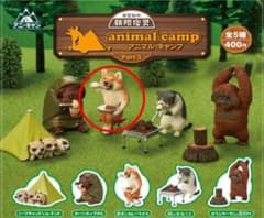 朝隈俊男 アニマルキャンプ3 ガチャ 柴犬とカレーライスのサムネイル