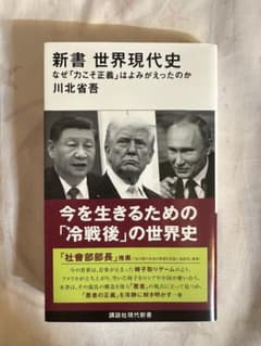 新書　世界現代史　川北省吾のサムネイル