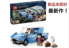 LEGO 레고 76424 해리 포터 포드 앵그리아