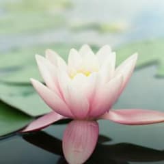 返品用のサムネイル