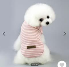 犬用の服のサムネイル