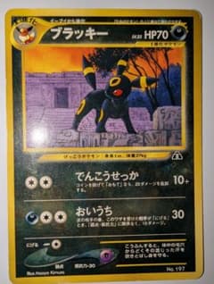 は*る様 ブラッキー_プレミアムファイル2 PROMO 第2世代（★neo・★Vのサムネイル