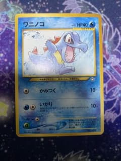ポケモンカード旧裏 ワニノコ プレミアムファイル 5b - メルカリ