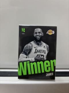 Panini Top Class LeBron James 196のサムネイル